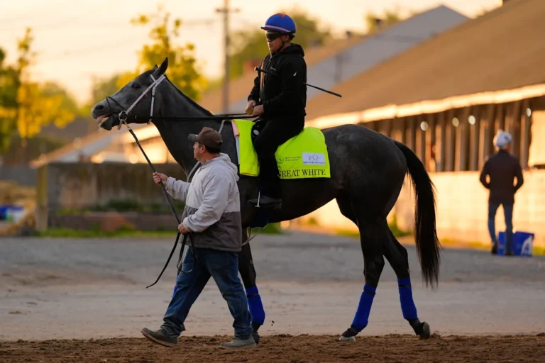 Great White a late scratch from the Kentucky Derby after flipping and throwing his jockey